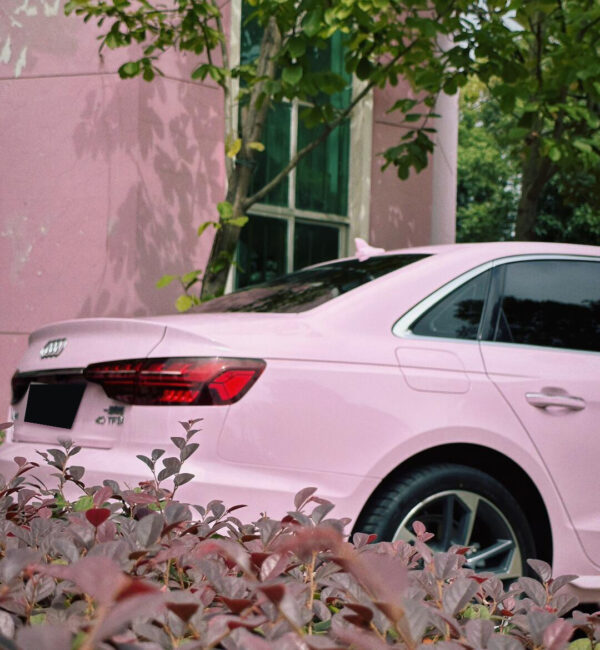Vinyl Wrap PET Begonia Pink